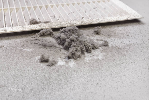 Best HVAC Duct Inspection Services  in Eagleville, PA